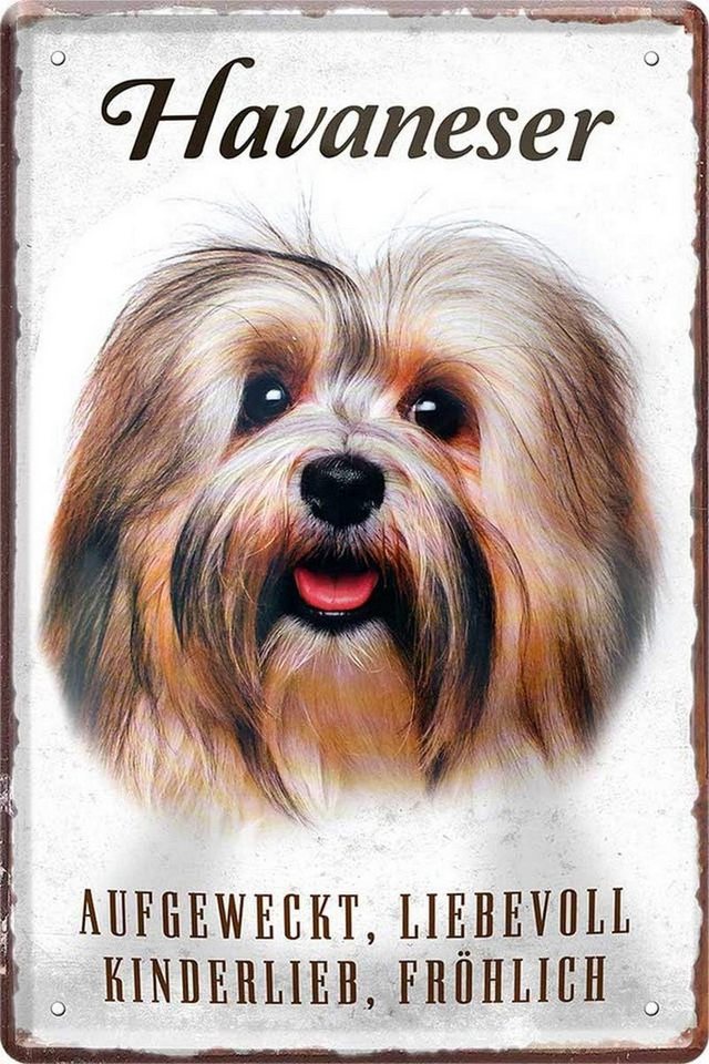 WOGEKA ART Metallbild Hunde-Rassen Steckbrief 20 x 30 cm Blechschild Haustier Hund Deko, Havaneser von WOGEKA ART