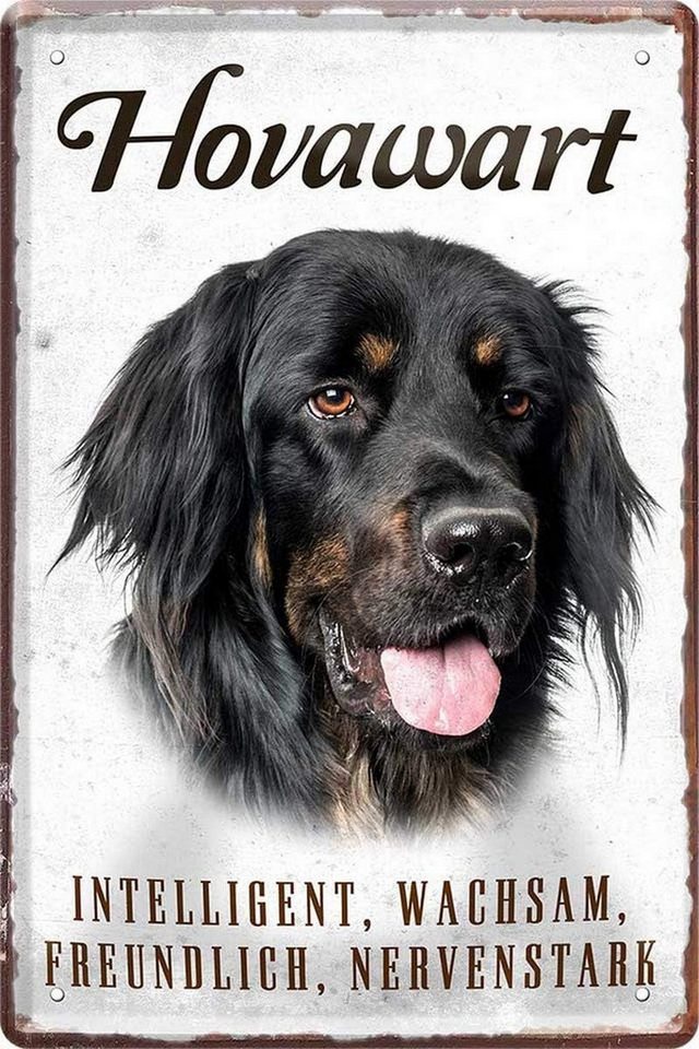 WOGEKA ART Metallbild Hunde-Rassen Steckbrief 20 x 30 cm Blechschild Haustier Hund Deko, Hovawart WOGEKA ART Metallbild Hunde-Rassen Steckbrief 20 x 30 cm Blechschild Haustier Hund Deko, Hovawart von WOGEKA ART