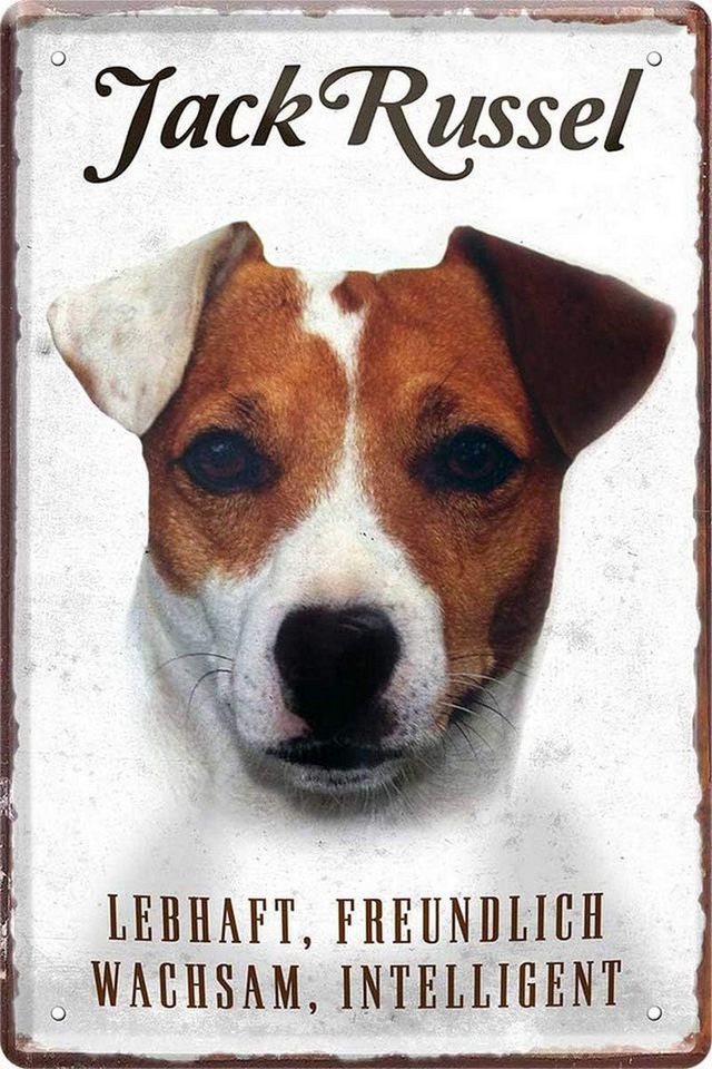 WOGEKA ART Metallbild Hunde-Rassen Steckbrief 20 x 30 cm Blechschild Haustier Hund Deko, Jack Russel WOGEKA ART Metallbild Hunde-Rassen Steckbrief 20 x 30 cm Blechschild Haustier Hund Deko, Jack Russel von WOGEKA ART