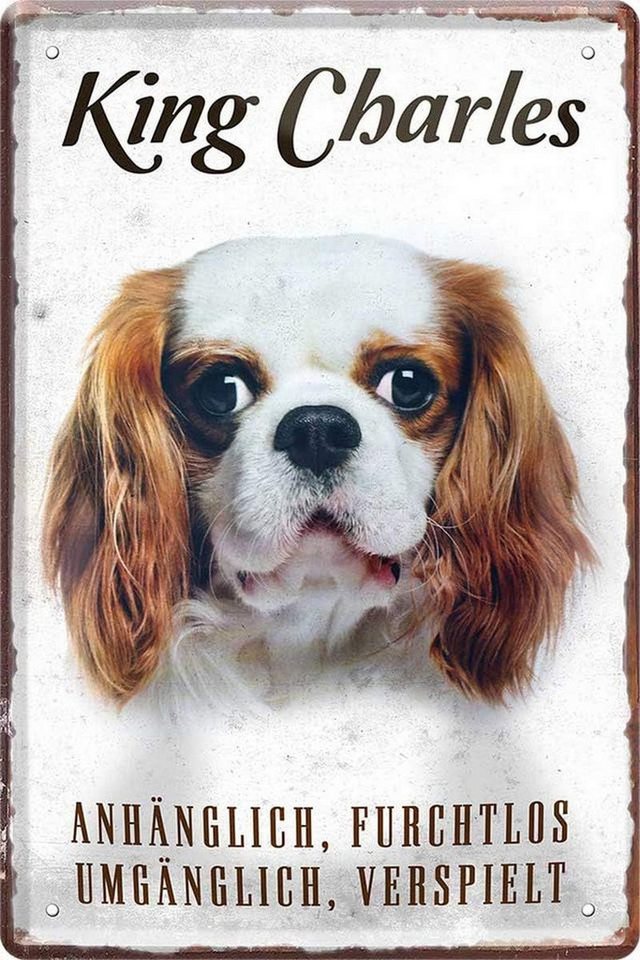 WOGEKA ART Metallbild Hunde-Rassen Steckbrief 20 x 30 cm Blechschild Haustier Hund Deko, King Charles von WOGEKA ART
