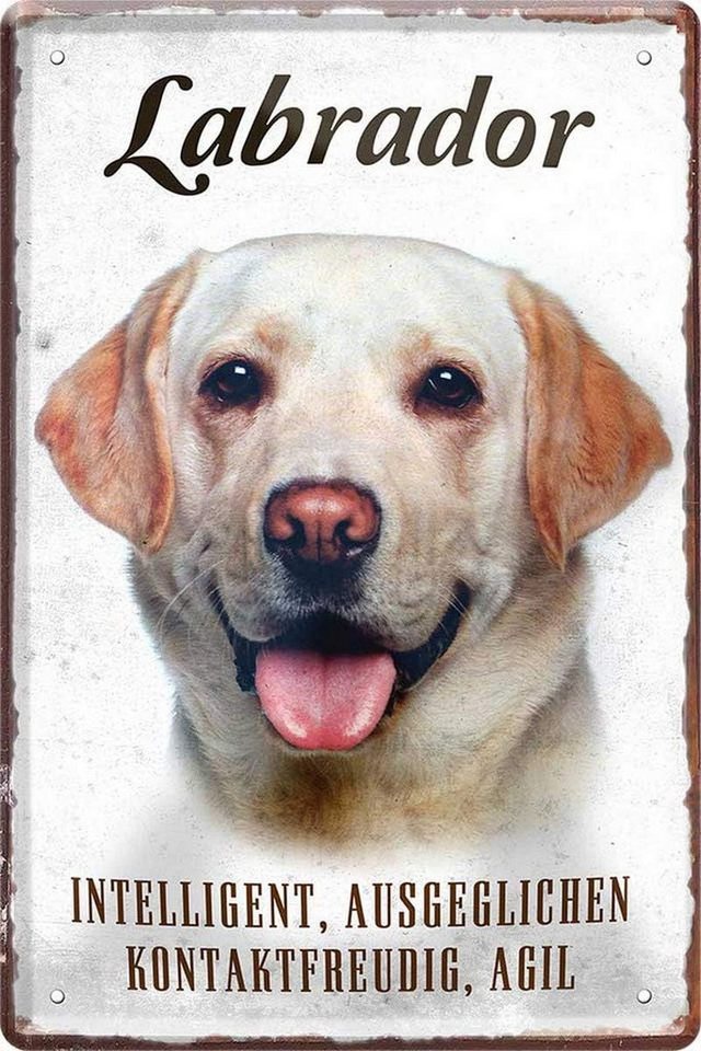WOGEKA ART Metallbild Hunde-Rassen Steckbrief 20 x 30 cm Blechschild Haustier Hund Deko, Labrador von WOGEKA ART