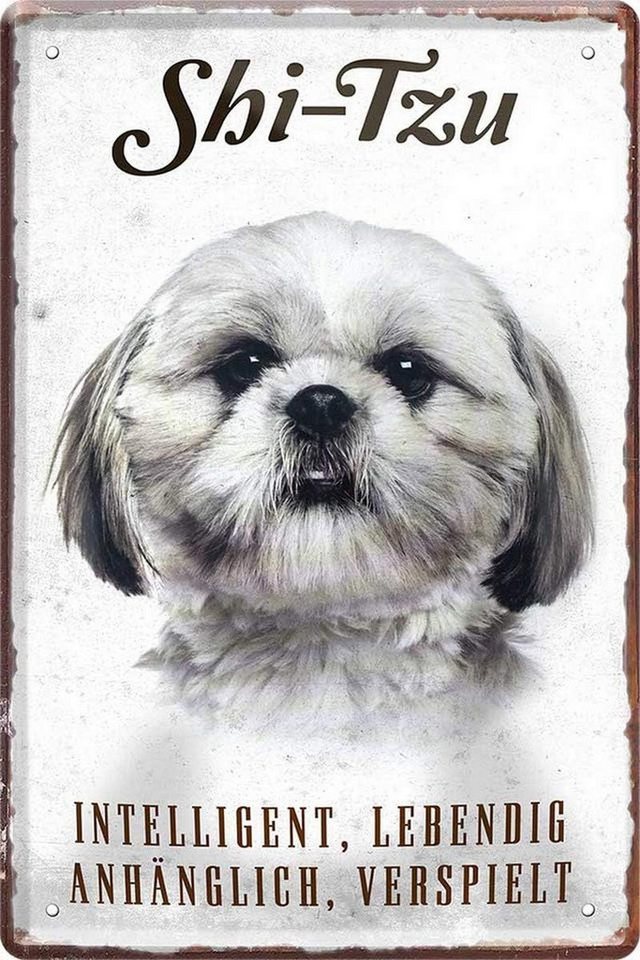 WOGEKA ART Metallbild Hunde-Rassen Steckbrief 20 x 30 cm Blechschild Haustier Hund Deko, Shi-Tzu von WOGEKA ART