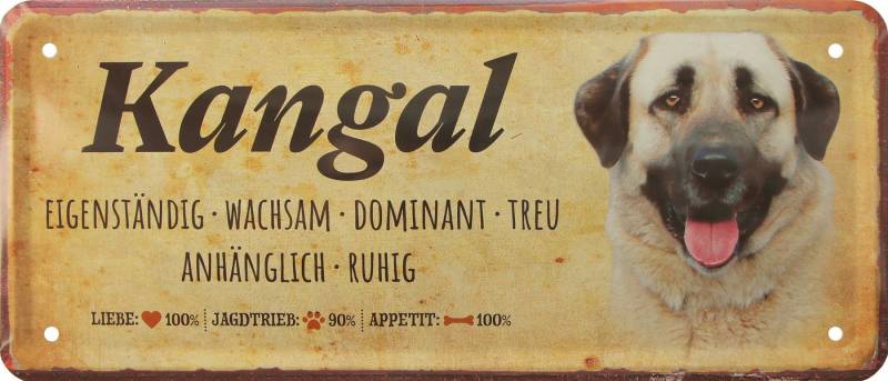 WOGEKA ART Metallbild Hunde-Rassen Steckbrief Blechschild Haustier Hund Deko, Kangal von WOGEKA ART