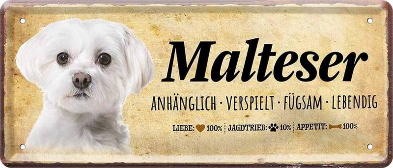WOGEKA ART Metallbild Hunde-Rassen Steckbrief Blechschild Haustier Hund Deko, Malteser von WOGEKA ART
