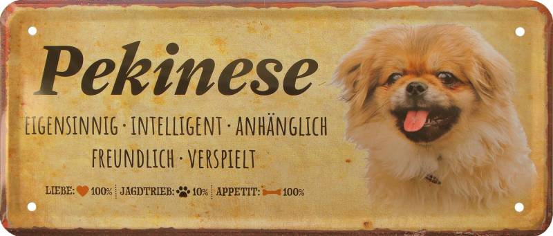 WOGEKA ART Metallbild Hunde-Rassen Steckbrief Blechschild Haustier Hund Deko, Pekinese von WOGEKA ART