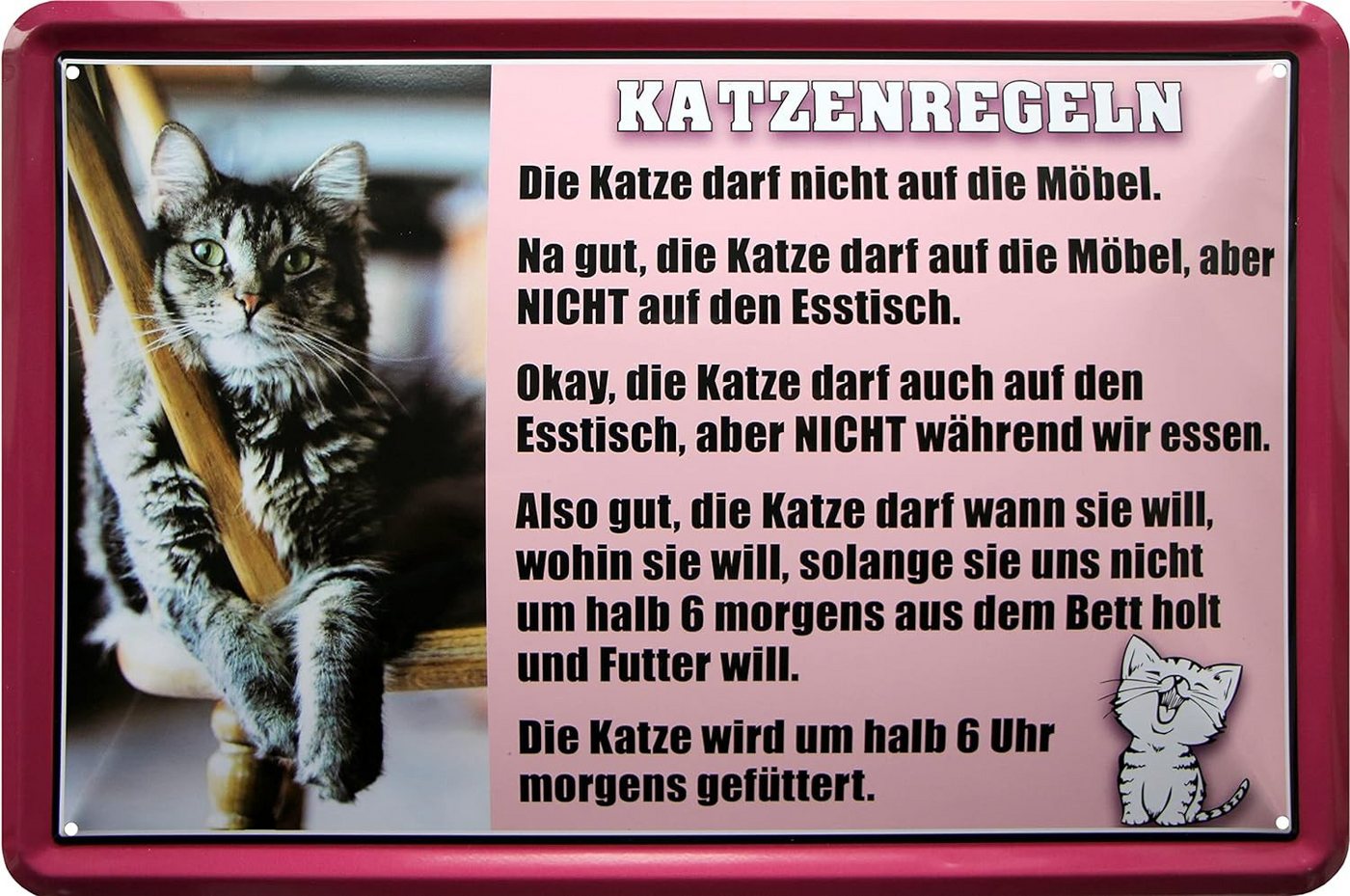 WOGEKA ART Metallbild Katzen-Regeln - 20 x 30 cm Retro Blechschild Haustier, Metallschild Wanddeko Spruch Schild Wandbild Tier Zuhause von WOGEKA ART