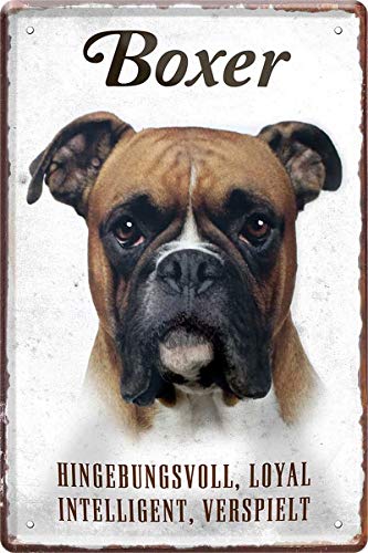 WOGEKA ART Retro Blechschild - Boxer Hund Steckbrief - witziger Spruch als Geschenk-Idee zum Geburtstag Weihnachten zur Dekoration 20x30 cm Vintage-Design aus Metall 106 von WOGEKA ART