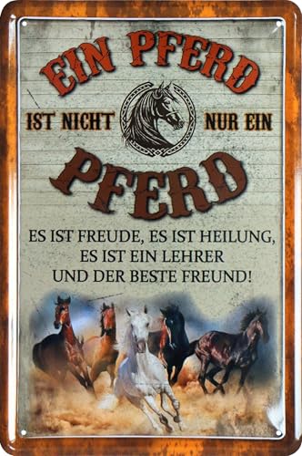 WOGEKA ART Retro Blechschild - Ein Pferd ist nicht nur ein Pferd - lustiger Spruch als Geschenk-Idee zur Deko, 20 x 30 cm, aus Metall im Vintage Design 976 von WOGEKA ART