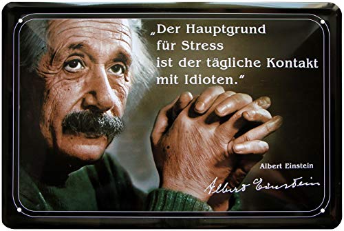 WOGEKA ART Retro Blechschild - Hauptgrund für Stress sind Idioten - lustiger Spruch als Geschenkidee zu Geburtstag Weihnachten zur Deko 20x30 cm Vintage Schild Metallschild 51 von WOGEKA ART