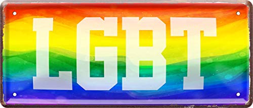 WOGEKA ART Retro Blechschild - LGBT Regenbogen - witziger Spruch als Geschenk-Idee zum Geburtstag Weihnachten zur Dekoration 28x12 cm Vintage-Design aus Metall 721 von WOGEKA ART