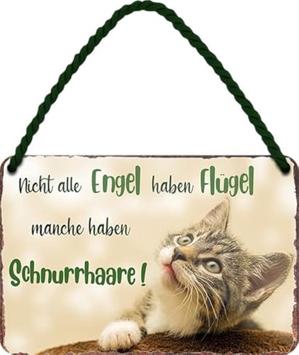 WOGEKA ART Retro Blechschild - Manche ENGEL haben SCHNURRHAARE - Lustiger Spruch als Geschenkidee für KATZEN FREUNDE zu Geburtstag, Weihnachten als Deko Schild 18x12 cm Hängeschild HS815 von WOGEKA ART