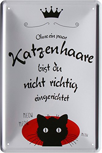 WOGEKA ART Retro Blechschild - Ohne Katzenhaare bist Du nicht richtig eingerichtet - witziger Spruch Geschenk-Idee Geburtstag Weihnachten Deko 20x30 cm Vintage-Design Metall 1003 von WOGEKA ART