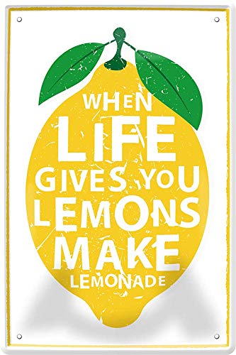 WOGEKA ART Retro Blechschild - When Life gives you Lemons make Lemonade - witziger Spruch als Geschenk-Idee zum Geburtstag Weihnachten Dekoration 20x30 cm Vintage-Design Metall 312 von WOGEKA ART