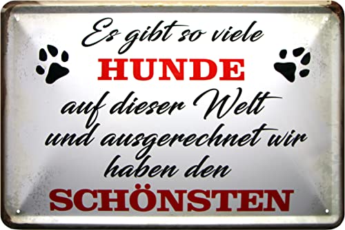 WOGEKA ART Retro Blechschilder - Wir haben den schönsten HUND - Lustiger Spruch als Geschenk-Idee für alle Hunde-Freunde zu Geburtstag Weihnachten zur Deko 20x30 cm Metall-Schild 1023 WOGEKA ART Retro Blechschilder - Wir haben den schönsten HUND - Lustiger Spruch als Geschenk-Idee für alle Hunde-Freunde zu Geburtstag Weihnachten zur Deko 20x30 cm Metall-Schild 1023 von WOGEKA ART
