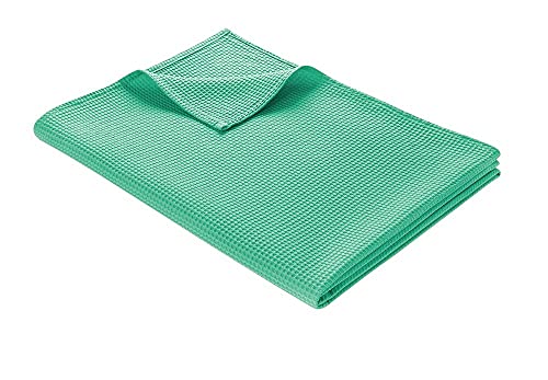 WOHNWOHL Tagesdecke 150 x 200 cm • Waffelpique leichte Sommerdecke aus 100% Baumwolle • Luftige Sofa-Decke vielseitig einsetzbar • Pflegeleichte Wohndecke • Baumwolldecke Farbe: Minzgrün von WOHNWOHL