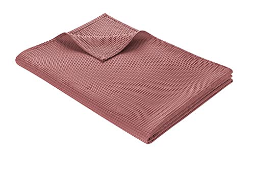 WOHNWOHL Tagesdecke 150 x 200 cm • Waffelpique leichte Sommerdecke aus 100% Baumwolle • Luftige Sofa-Decke vielseitig einsetzbar • Pflegeleichte Wohndecke • Baumwolldecke Farbe: Rosé von WOHNWOHL