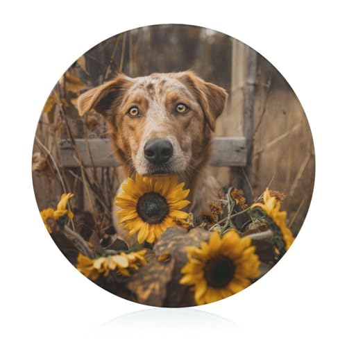 Schneidebretter Für Die Küche Schneidebrettmatte Für Fleisch Und Gemüse Hunde Dem Baum Schneidebretter Für Die Küche Schneidebrettmatte Für Fleisch Und Gemüse Hunde Dem Baum von WOJFASSS