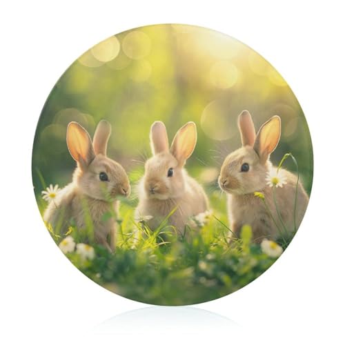 Schneidebretter Für Die Küche Schneidebrettmatte Für Fleisch Und Gemüse Niedliche Kaninchen Ostern Hase Gras von WOJFASSS