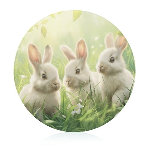 Schneidebretter Für Die Küche Schneidebrettmatte Für Fleisch Und Gemüse Niedliche Kaninchen Ostern Hase Gras von WOJFASSS