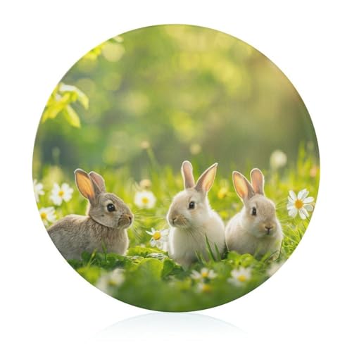 Schneidebretter Für Die Küche Schneidebrettmatte Für Fleisch Und Gemüse Niedliche Kaninchen Ostern Hase Gras Schneidebretter Für Die Küche Schneidebrettmatte Für Fleisch Und Gemüse Niedliche Kaninchen Ostern Hase Gras von WOJFASSS