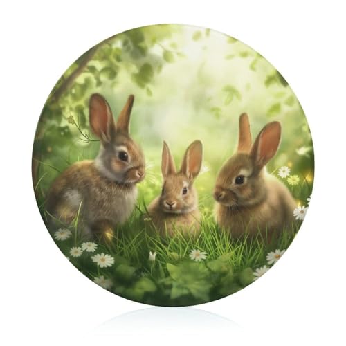 Schneidebretter Für Die Küche Schneidebrettmatte Für Fleisch Und Gemüse Niedliche Kaninchen Ostern Hase Gras Schneidebretter Für Die Küche Schneidebrettmatte Für Fleisch Und Gemüse Niedliche Kaninchen Ostern Hase Gras von WOJFASSS