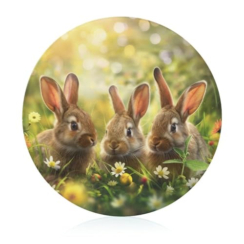Schneidebretter Für Die Küche Schneidebrettmatte Für Fleisch Und Gemüse Niedliche Kaninchen Ostern Hase Gras Schneidebretter Für Die Küche Schneidebrettmatte Für Fleisch Und Gemüse Niedliche Kaninchen Ostern Hase Gras von WOJFASSS