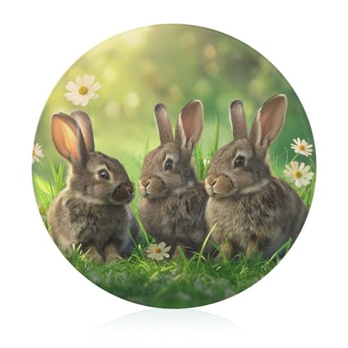 Schneidebretter Für Die Küche Schneidebrettmatte Für Fleisch Und Gemüse Niedliche Kaninchen Ostern Hase Gras Schneidebretter Für Die Küche Schneidebrettmatte Für Fleisch Und Gemüse Niedliche Kaninchen Ostern Hase Gras von WOJFASSS
