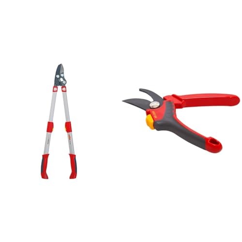 WOLF Garten - Amboss Astschere »Premium Plus« POWER CUT*** RS 900 T; 73AGA009650 & - 2-schneidige Gartenschere »Comfort Plus« RR 2500; 73AFA002650 von WOLF Garten