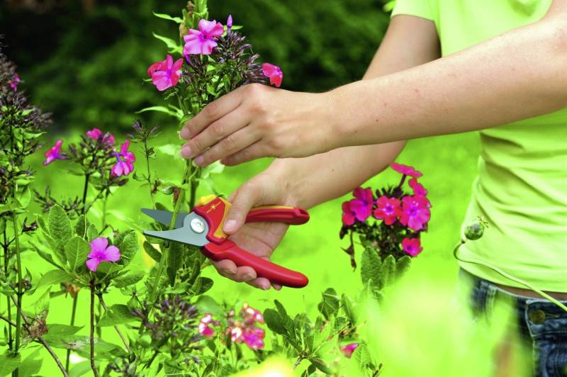 WOLF-Garten Astschere Wolf Garten Gartenschere RR 1500 BASIC PLUS bis zu WOLF-Garten Astschere Wolf Garten Gartenschere RR 1500 BASIC PLUS bis zu von WOLF-Garten