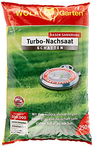 Wolf-Garten LR-S D/A Turbo-NACHSAAT Schatten FÜR 250 QM, Rot, 3826650 Wolf-Garten LR-S D/A Turbo-NACHSAAT Schatten FÜR 250 QM, Rot, 3826650 von WOLF Garten