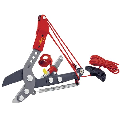 WOLF-Garten multi-star Amboss Profi Baumschere RC-VM (für Äste bis 40mm Ø, ideal für abgestorbenes & hartes Holz, passend für multi-star-System) 71ACA005650 von WOLF Garten