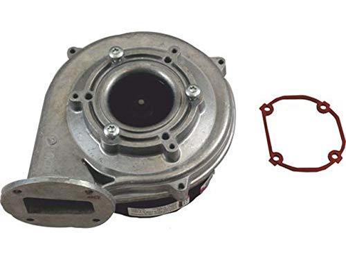 WOLF 213795099 Gasgebläse Brennwert D118(ersetzt Art.-Nr. 2137950) von Wolf