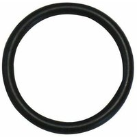 O-Ring R-01 2,90 x 1,78 mm. Beutel 50 Einheiten von WOLFPACK