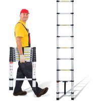 Wolketon 2,6m Silber Teleskopleiter Aluleiter Stehleiter Anlegeleiter Mehrzweckleiter Klappleiter von WOLKETON
