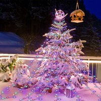 310 LEDs led Lichterkette Hochzeiten Geburtstag Transparent Party rgb - Vingo von VINGO