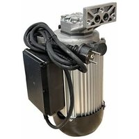 Wolpart - Ersatzmotor Industriemotor 230V 2,6kW mit Hydraulikpumpe für Holzspalter von WOLPART