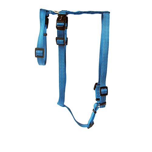 Wolters Geschirr Soft & Safe No Escape, Größe:S 30-40 cm, Farbe:Aqua von WOLTERS