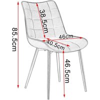 WOLTU 4 x Esszimmerstühle 4er Set Esszimmerstuhl Küchenstuhl Polsterstuhl Design Stuhl mit Rückenlehne, mit Sitzfläche aus Samt, Gestell aus Metall, von WOLTU