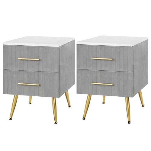 WOLTU 2er Set Nachttisch mit 2 Schubladen, Nachtkommode Nachtschrank für Boxspringbett Schlafzimmer, Kommode für Wohnzimmer, Couchtisch Sofatisch, aus MDF Metallbeinen, Grau, TS134gr-2 von WOLTU