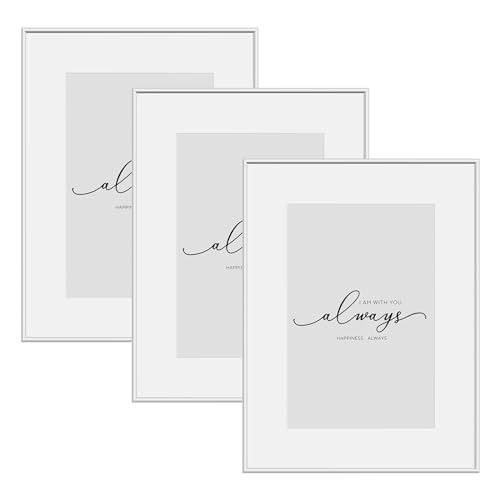 WOLTU 3er Set Bilderrahmen Din A4, Fotorahmen Aluminium Silber Matt, Bilderrahmen Collage mit Passepartout, Picture Frame mit Ständer, Posterrahmen mit Kunststoff, BR9956sb-3 WOLTU 3er Set Bilderrahmen Din A4, Fotorahmen Aluminium Silber Matt, Bilderrahmen Collage mit Passepartout, Picture Frame mit Ständer, Posterrahmen mit Kunststoff, BR9956sb-3 von WOLTU