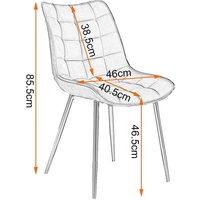WOLTU 4 x Esszimmerstühle 4er Set Esszimmerstuhl Küchenstuhl Polsterstuhl Design Stuhl mit Rückenlehne, mit Sitzfläche aus Samt, Gestell aus Metall, von WOLTU
