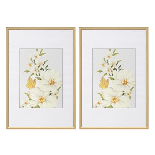WOLTU Bilderrahmen 30x40 cm Set of 2 Fotorahmen aus Kunststoff mit Passepartout, Posterrahmen zum vertikalen oder horizontalen Aufhängen/Aufstellen, Collage Wanddeko, Gold von WOLTU