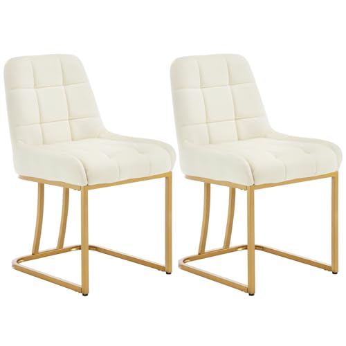 WOLTU Esszimmerstühle 2er Set, Küchenstuhl Samt, Polsterstuhl mit Metallgestell in Bogenform, gepolsterter Stuhl mit Rückenlehne, Wohnzimmerstuhl Schminkstuhl EZS32cm-2 Beige von WOLTU