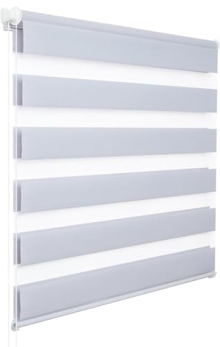 WOLTU Doppelrollo Klemmfix ohne Bohren Grau 100x150cm (BxH), Duo Rollo Zebrarollo Fensterrollo Klemmrollo Seitenzugrollo Easyfix lichtdurchlässig & verdunkelnd Rollos für Fenster und Tür von WOLTU