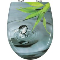 WOLTU WC Sitz mit Absenkautomatik Toilettendeckel Premium Klobrille Hellgrünes Blatt von WOLTU