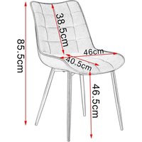 Woltu - 6 x Esszimmerstühle 6er Set Esszimmerstuhl Küchenstuhl Polsterstuhl Design Stuhl mit Rückenlehne, mit Sitzfläche aus Samt, Gestell aus von WOLTU
