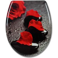 Wc Sitz mit Absenkautomatik,Toilettensitz Motiv, Toilettendeckel aus Duroplast, Stable Klodeckel Hochwertige Qualität Toilettenbrille,Antibakteriell von WOLTU