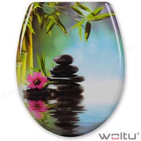 WOLTU WC Sitz mit Absenkautomatik,Toilettensitz Motiv, Toilettendeckel aus Duroplast, Stable Klodeckel Hochwertige Qualität von WOLTU