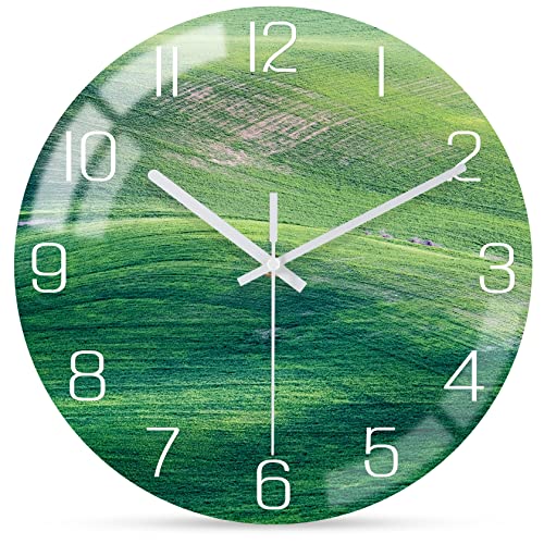 WONZOM Modern Grün Wanduhr, Groß Lautlos Geräuschlos Glas Uhr, Aesthetic Gras Wanddeko für Wohnzimmer/Küche/Badezimmer/Schlafzimmer/Büro, 30cm von WONZOM