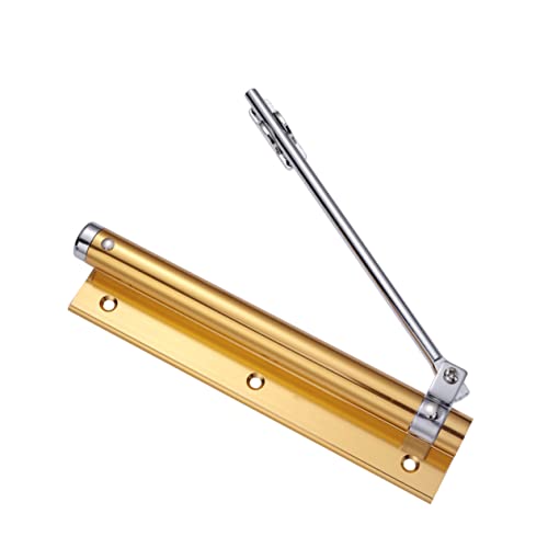 WOONEKY 1Stück Automatischer Türschließer Unsichtbarer Türscharnier für Heimgebrauch und Installieren für Zimmertüren und Haustüren Helle Goldfarbe von WOONEKY